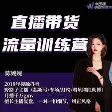 婉婉直播带货流量训练营-零界教育